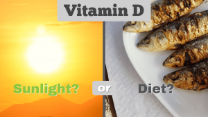 vitamin-d-from-sunlight-or-diet-blog
